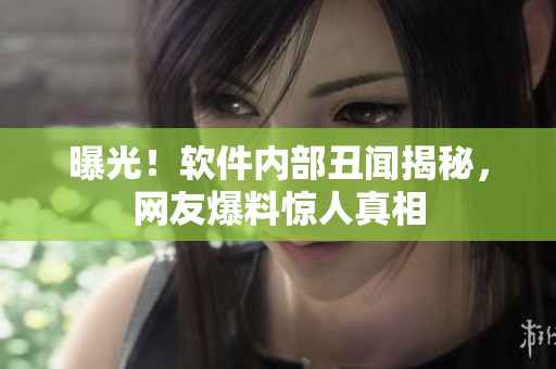 曝光！软件内部丑闻揭秘，网友爆料惊人真相