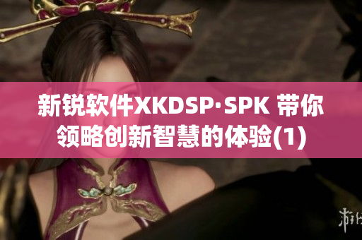 新锐软件XKDSP·SPK 带你领略创新智慧的体验(1)