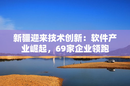 新疆迎来技术创新：软件产业崛起，69家企业领跑