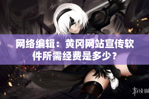 网络编辑：黄冈网站宣传软件所需经费是多少？