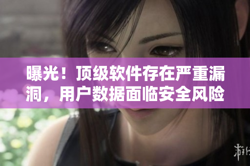 曝光！顶级软件存在严重漏洞，用户数据面临安全风险