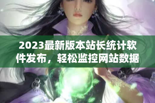 2023最新版本站长统计软件发布，轻松监控网站数据
