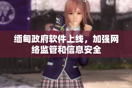 缅甸政府软件上线，加强网络监管和信息安全
