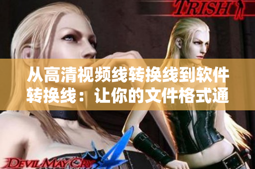 从高清视频线转换线到软件转换线：让你的文件格式通用化