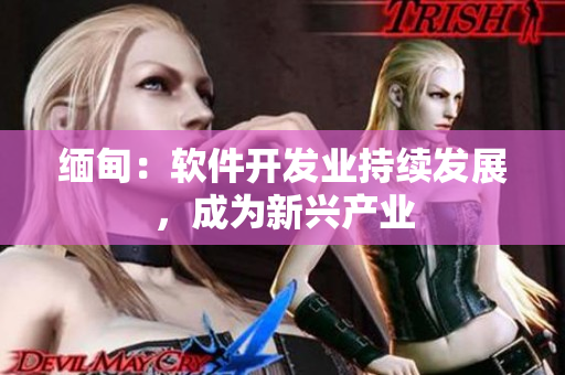 缅甸：软件开发业持续发展，成为新兴产业