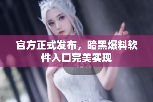 官方正式发布，暗黑爆料软件入口完美实现