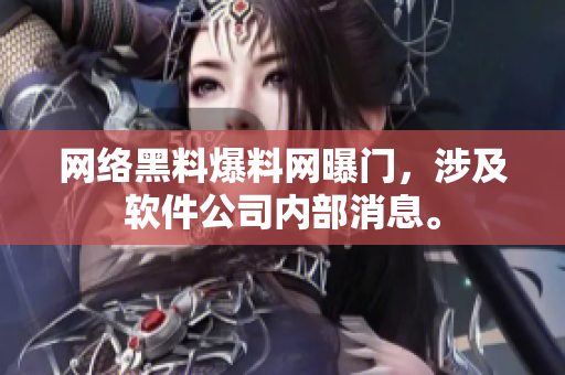 网络黑料爆料网曝门，涉及软件公司内部消息。