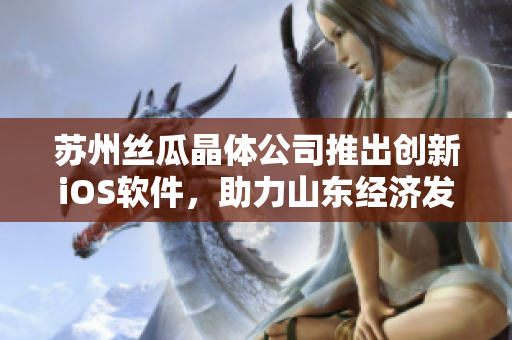 苏州丝瓜晶体公司推出创新iOS软件，助力山东经济发展