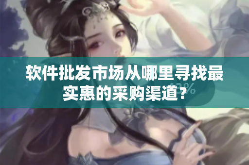 软件批发市场从哪里寻找最实惠的采购渠道？
