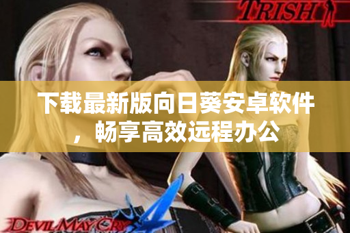 下载最新版向日葵安卓软件，畅享高效远程办公