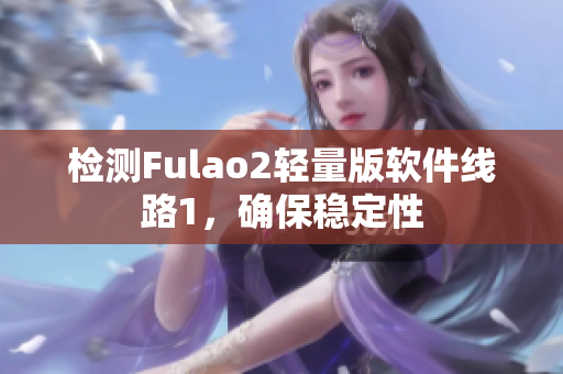 检测Fulao2轻量版软件线路1，确保稳定性