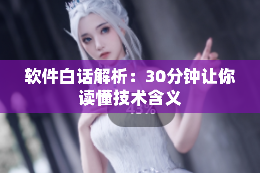 软件白话解析：30分钟让你读懂技术含义