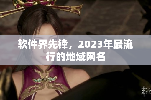 软件界先锋，2023年最流行的地域网名