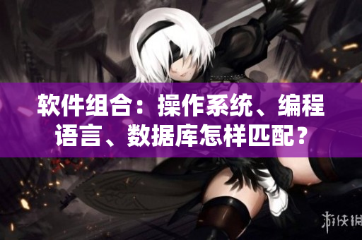 软件组合：操作系统、编程语言、数据库怎样匹配？