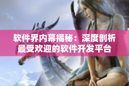 软件界内幕揭秘：深度剖析最受欢迎的软件开发平台