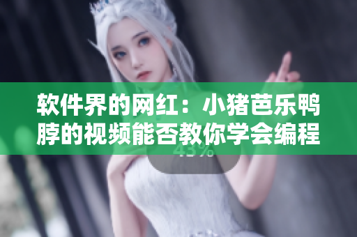 软件界的网红：小猪芭乐鸭脖的视频能否教你学会编程技巧？
