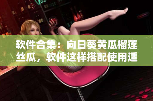 软件合集：向日葵黄瓜榴莲丝瓜，软件这样搭配使用适合吗？