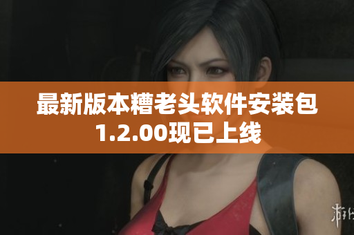 最新版本糟老头软件安装包1.2.00现已上线