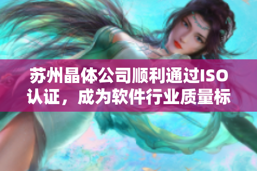 苏州晶体公司顺利通过ISO认证，成为软件行业质量标杆