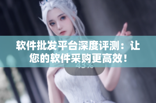 软件批发平台深度评测：让您的软件采购更高效！