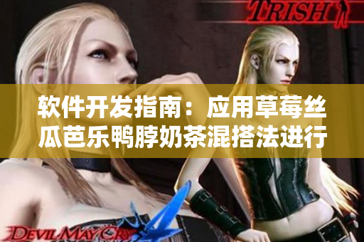软件开发指南：应用草莓丝瓜芭乐鸭脖奶茶混搭法进行开发