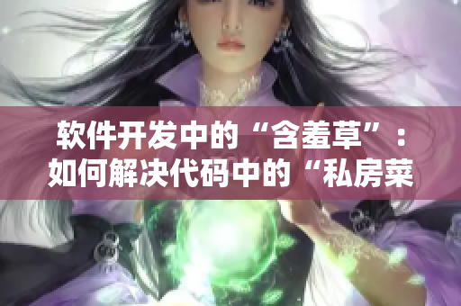 软件开发中的“含羞草”：如何解决代码中的“私房菜”？