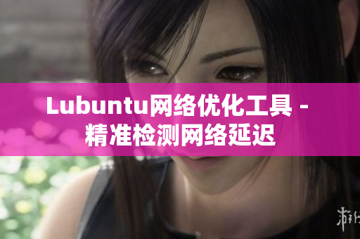 Lubuntu网络优化工具 - 精准检测网络延迟