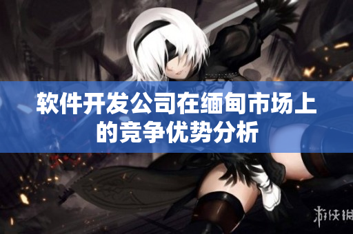软件开发公司在缅甸市场上的竞争优势分析