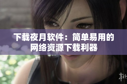下载夜月软件：简单易用的网络资源下载利器