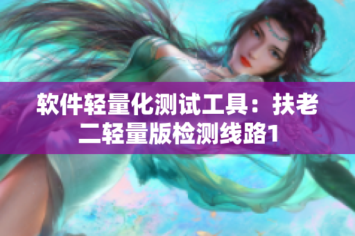 软件轻量化测试工具：扶老二轻量版检测线路1