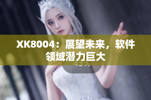 XK8004：展望未来，软件领域潜力巨大