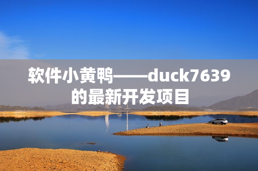 软件小黄鸭——duck7639的最新开发项目