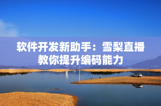软件开发新助手：雪梨直播教你提升编码能力