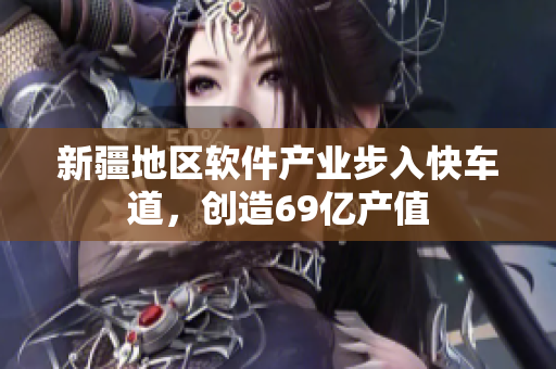 新疆地区软件产业步入快车道，创造69亿产值