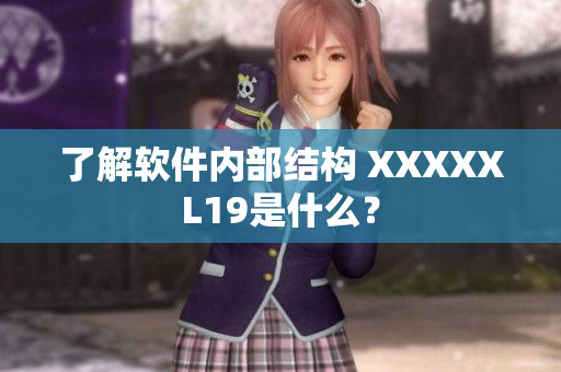 了解软件内部结构 XXXXXL19是什么？