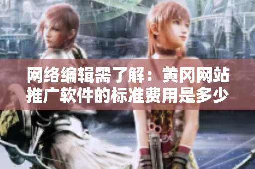 网络编辑需了解：黄冈网站推广软件的标准费用是多少