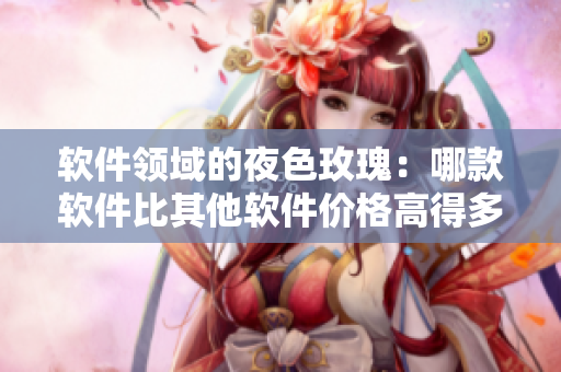 软件领域的夜色玫瑰：哪款软件比其他软件价格高得多？