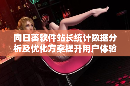 向日葵软件站长统计数据分析及优化方案提升用户体验