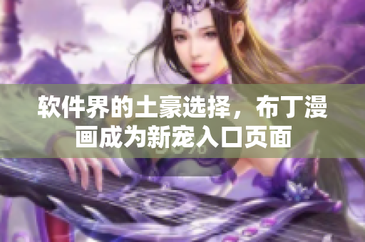 软件界的土豪选择，布丁漫画成为新宠入口页面