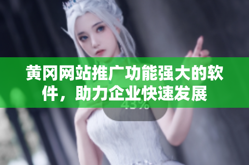 黄冈网站推广功能强大的软件，助力企业快速发展