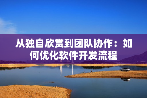 从独自欣赏到团队协作：如何优化软件开发流程