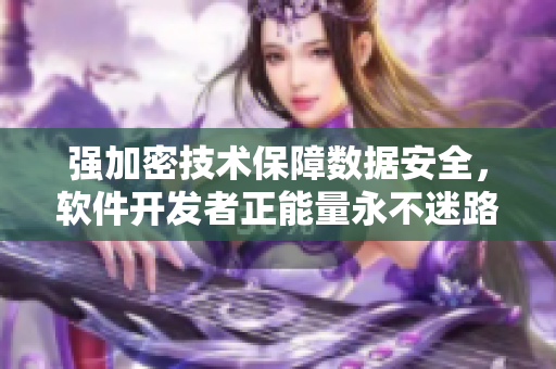 强加密技术保障数据安全，软件开发者正能量永不迷路