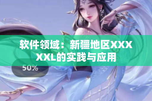 软件领域：新疆地区XXXXXL的实践与应用