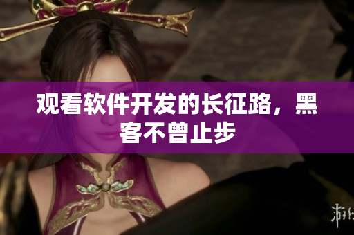 观看软件开发的长征路，黑客不曾止步