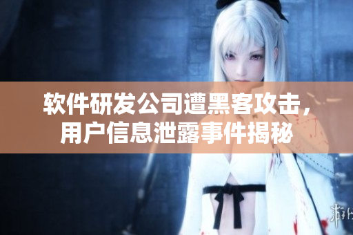 软件研发公司遭黑客攻击，用户信息泄露事件揭秘