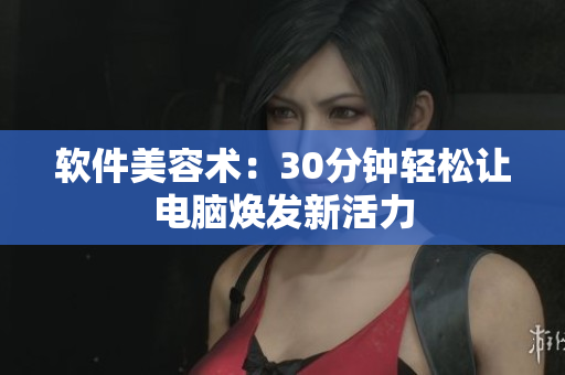 软件美容术：30分钟轻松让电脑焕发新活力