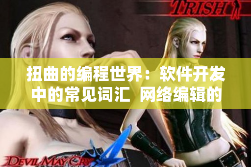扭曲的编程世界：软件开发中的常见词汇  网络编辑的视角