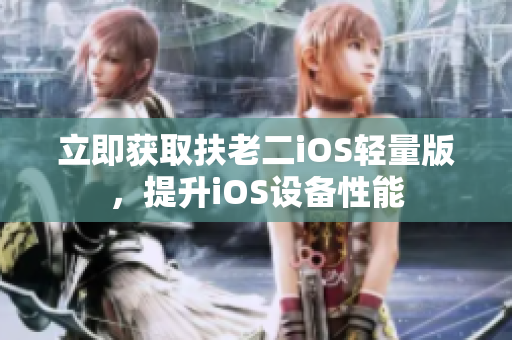 立即获取扶老二iOS轻量版，提升iOS设备性能