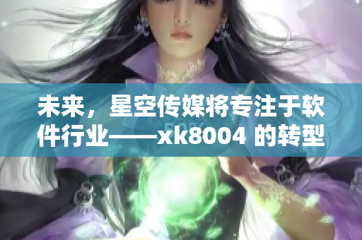 未来，星空传媒将专注于软件行业——xk8004 的转型之路