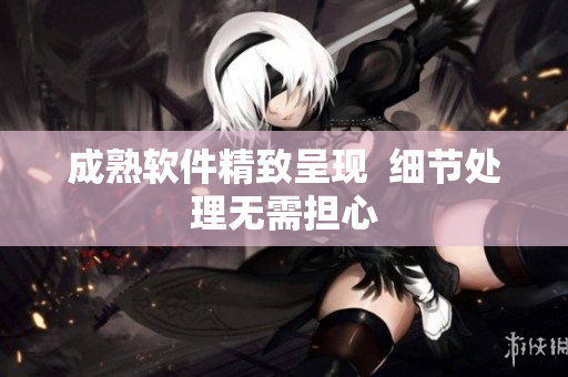 成熟软件精致呈现  细节处理无需担心